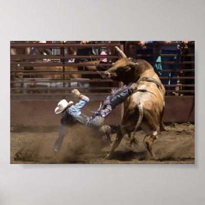 Steer rider takes a fall poster by pshaw_photo