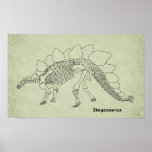 Stegosaurus Skeleton Poster posters
