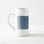 Stein mugs