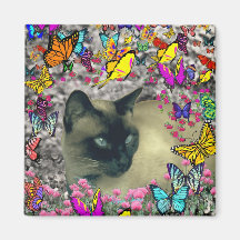 Stella in Butterflies Chocolate Point Siamese Cat Magnets
