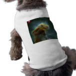 Stellar pet clothing