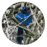 Stellar Jay Clock