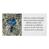 Stellar Jay Personalized Photo Card