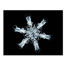 Stellar snow crystal postcard