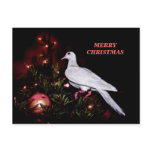 Stella's First Christmas Postcard