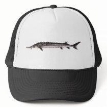 Stellate Sturgeon Hat