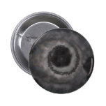 Stemma buttons
