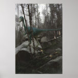 Stenonychosaurus posters