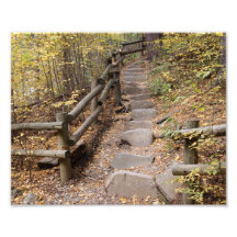 Step Up - 10x8 - Photographic Print