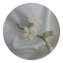 Stephanotis on Satin stickers