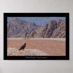 Steppe Eagle, Aquila nipalensis, Steppenadler posters