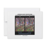 Stereoscopic Image Pair Nrthn Patagonia Argentina invitations