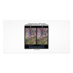 Stereoscopic Image Pair Nrthn Patagonia Argentina photo cards
