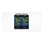 Stereoscopic Image Pair Wellington New Zealand photo cards