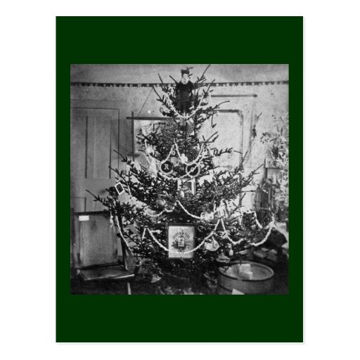 Stereoview Christmas Tree Victorian 1800s Vintage Postcard Zazzle