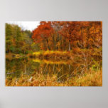 Sterling Pond