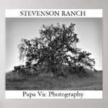 STEVENSON RANCH posters