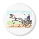 STICK HORSE Carriage Driving magnets