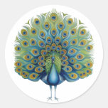 Sticker Peacock