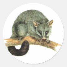 Sticker Sheets - cooroy possum