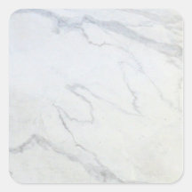 STICKERBOX : Light Shade WriteOn Floral Patterns
