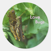 Stickers/"Love Bugs"
