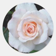 Stickers - Pale Pink Rosebud