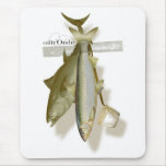 sticky fish mousepads