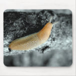 Sticky Situation mousepads