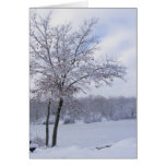 Sticky Snow 24 ~ card