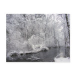 Sticky Snow 27 ~ postcard
