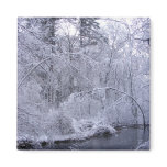 Sticky Snow 28 ~ magnet