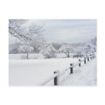 Sticky Snow 7 ~ postcard