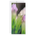 Stiff gentian rack cards