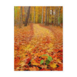 Still green, postcard