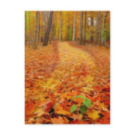 Still green,postcards