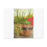still life in a bucket post card