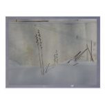 still life in winter white post card