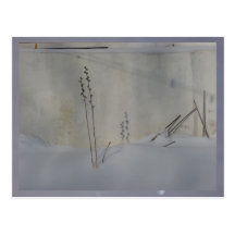 still life in winter white post card
