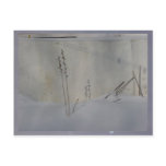 still life in winter white post card