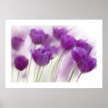 Still Life on Canvas posters