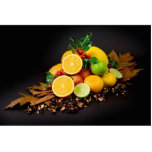 Still Life Photo Cut Out