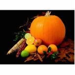 Still Life Picture Of A Pumpkin And Other Various photo sculptures
