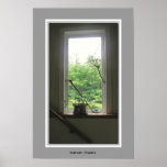 Still Life Window Print