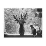 Still Life with Cat Post Cards