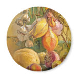 Still Life With Onions - Antonio Sicurezza magnets