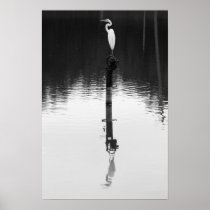 Still Reflection Poster