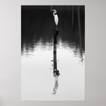 Still Reflection Poster