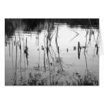 Still Water Greeting Cards