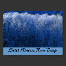Still Waters posters